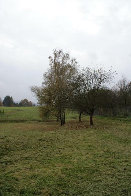 Agroturystyka U Maciejowej Villa Lanckorona Luaran gambar